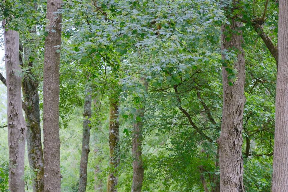 Photographe Mariage Landes