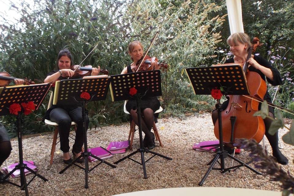 Musique champêtre