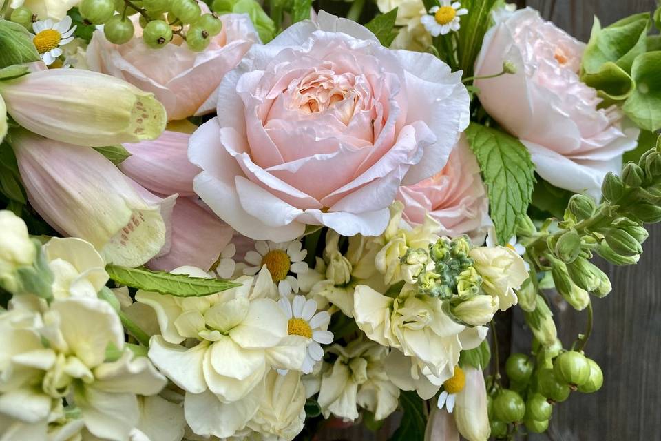 Zoom roses de printemps
