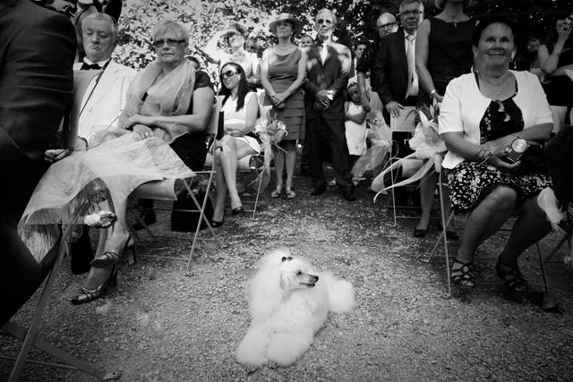 Mariage gard