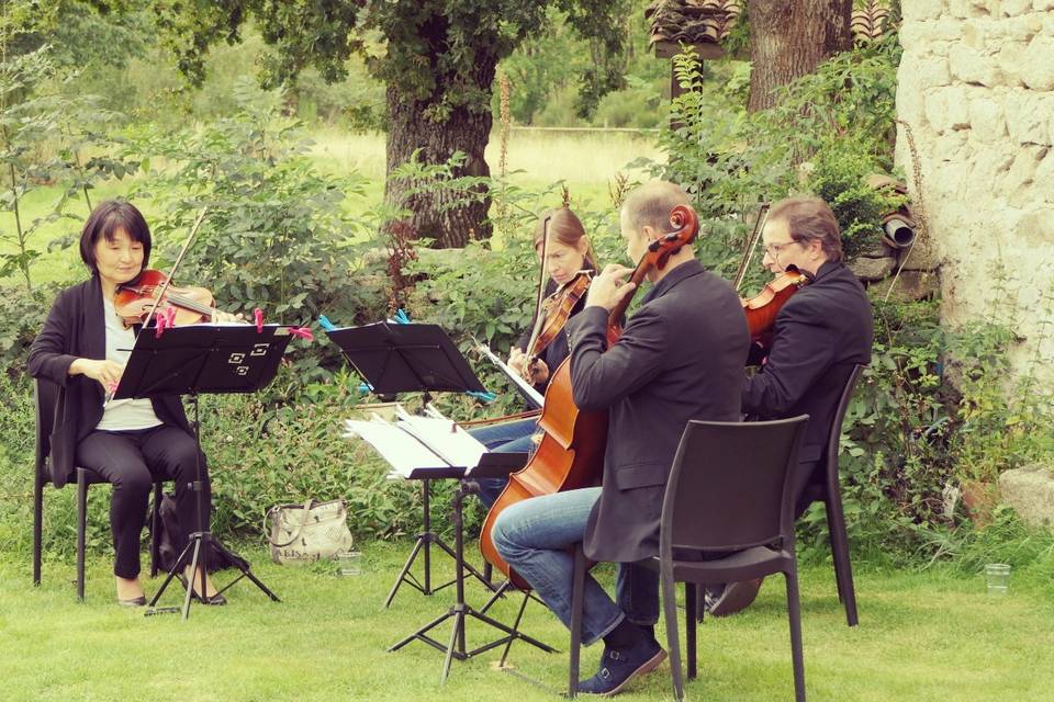 Quatuor Perocello