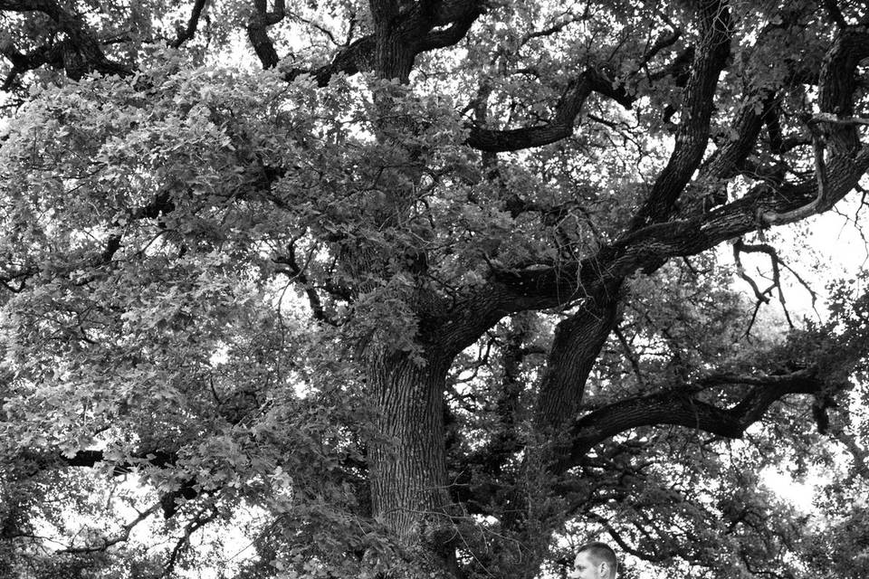 Sous l'arbre
