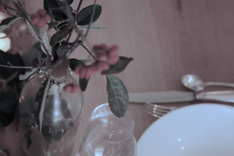 Pénélope avant minuit