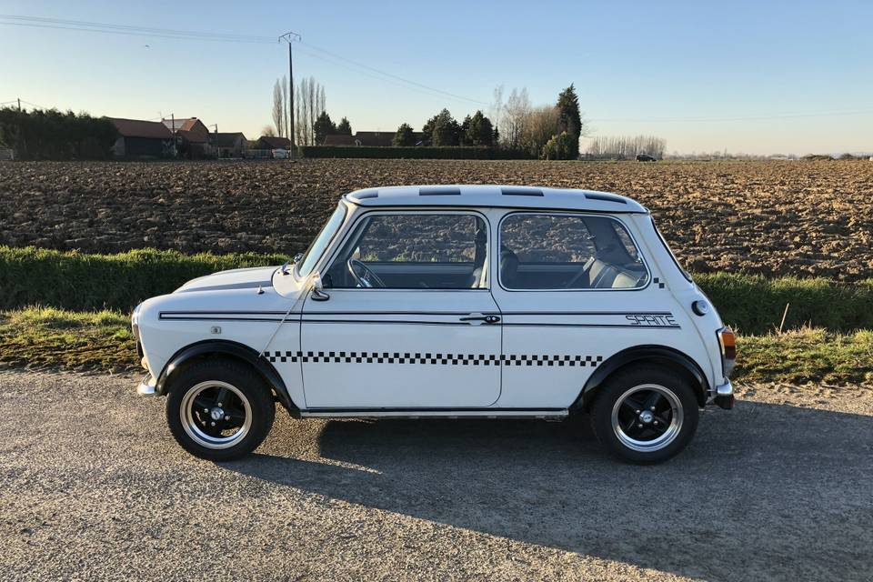 Austin Mini 1991