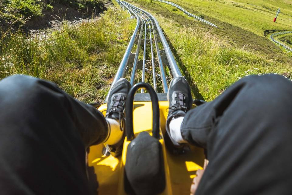 Activité mountain luge