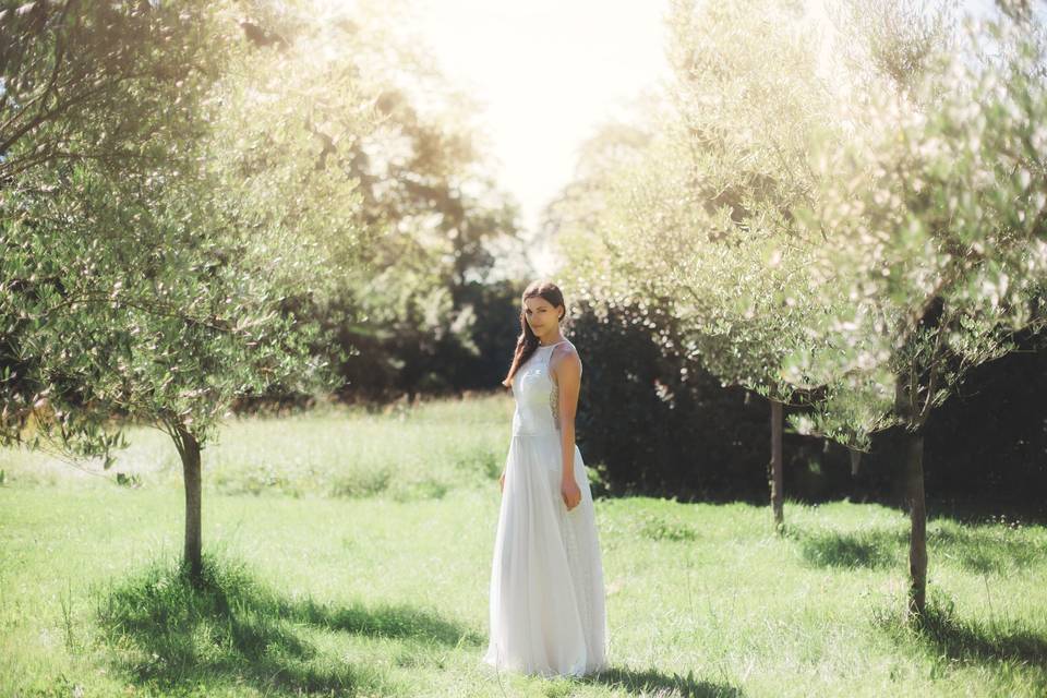 Mariée dans champ d'oliviers