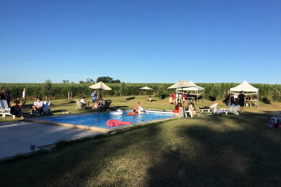 Piscine pour Brunch