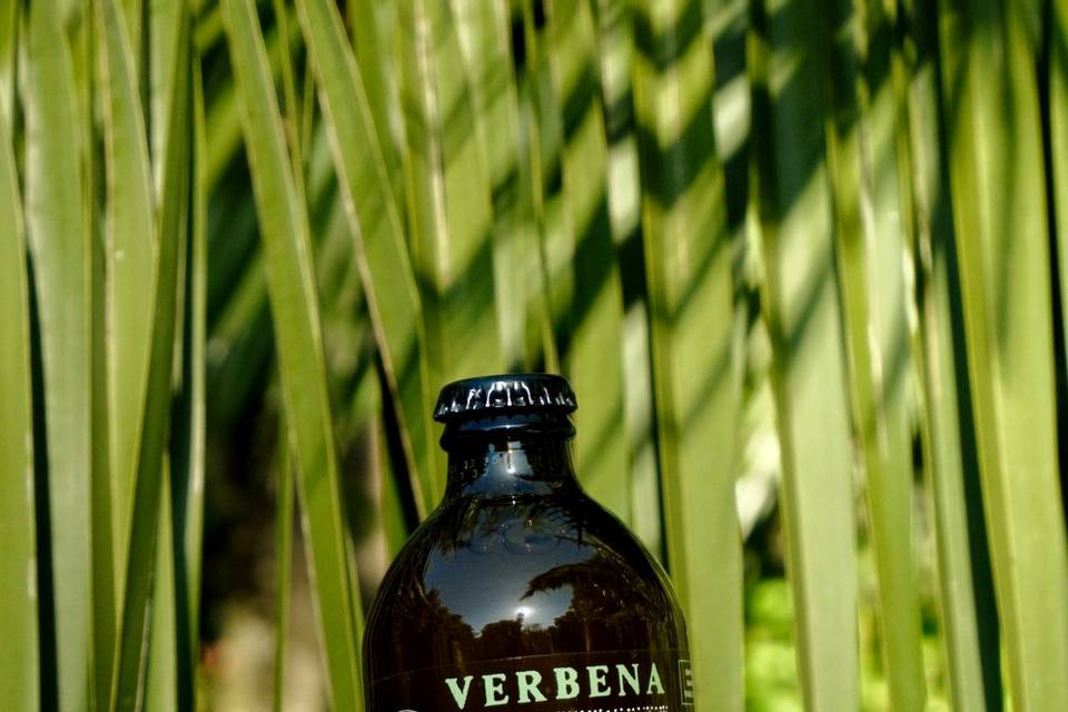 Verbena, infusion verveine