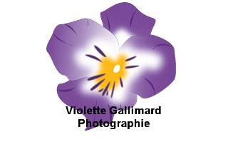 Violette Gallimard Photographie