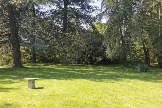 Le parc des cèdres (cérémonie)