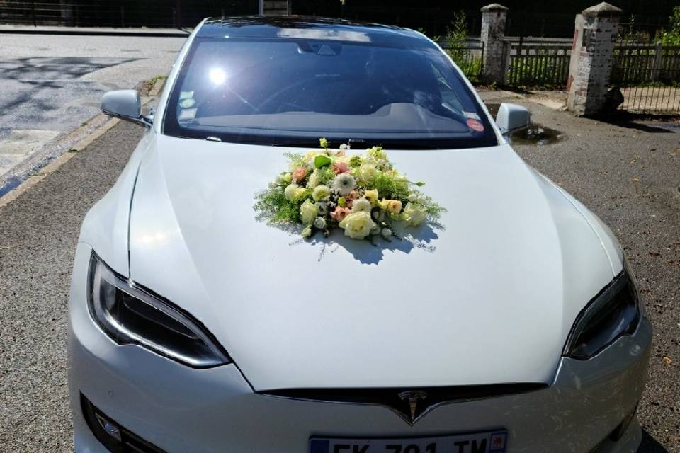 Tesla s