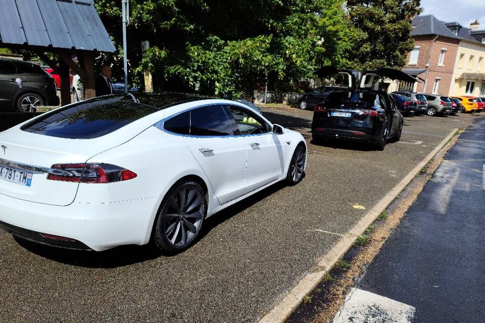 Tesla s & x