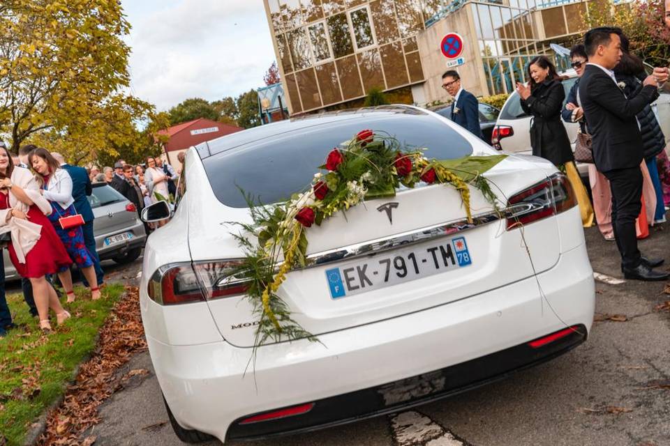 Tesla model s