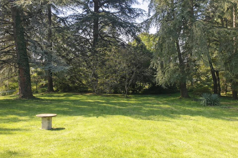 Le parc des cèdres (cérémonie)