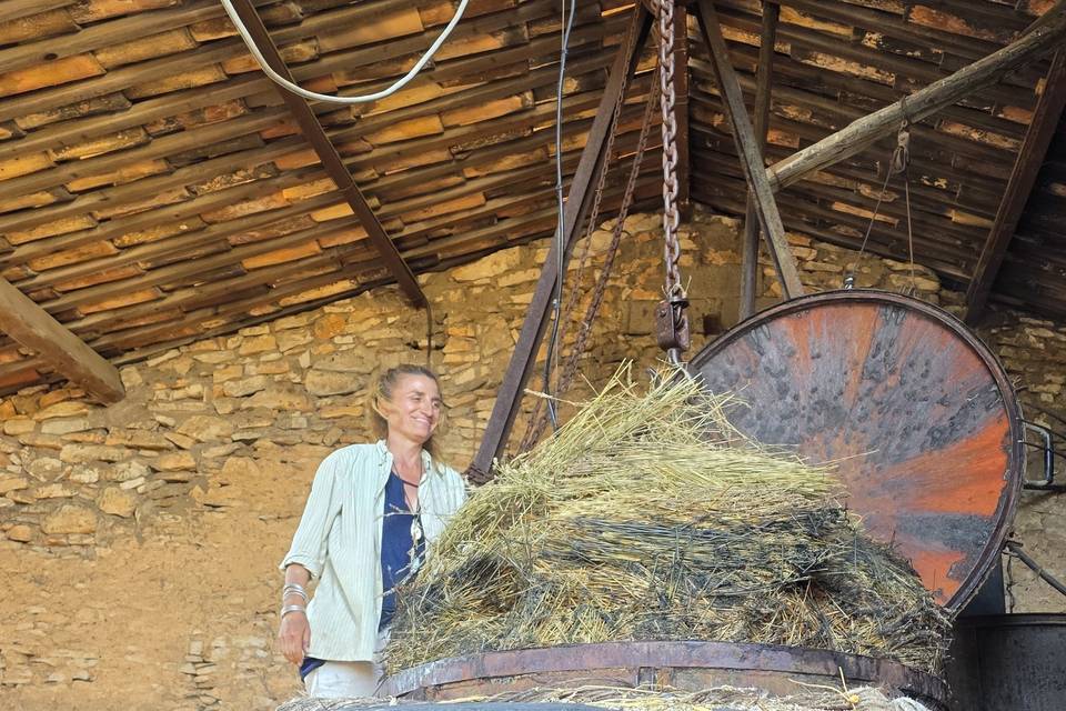 Distillerie centenaire