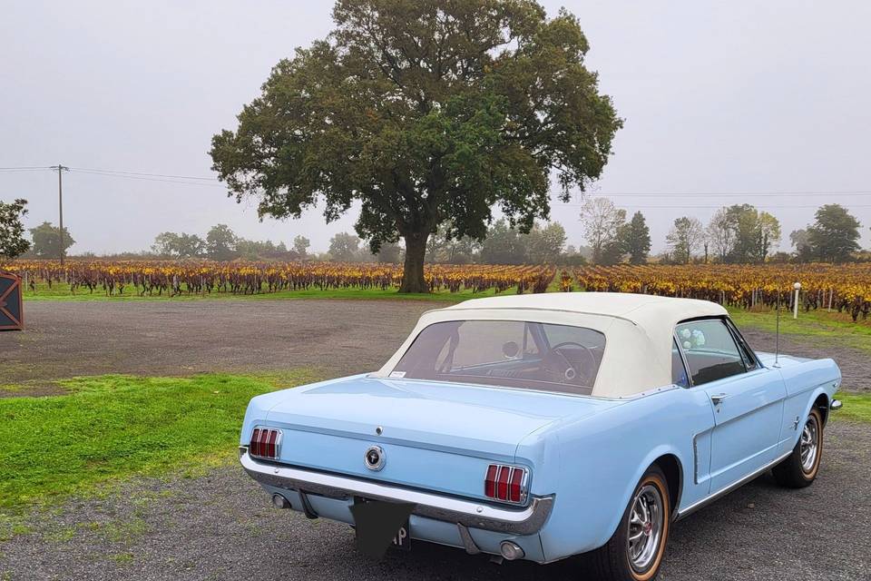 Mustang bleue cabriolet 1965