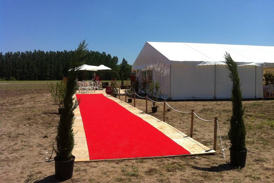 Tapis rouge pour JPO