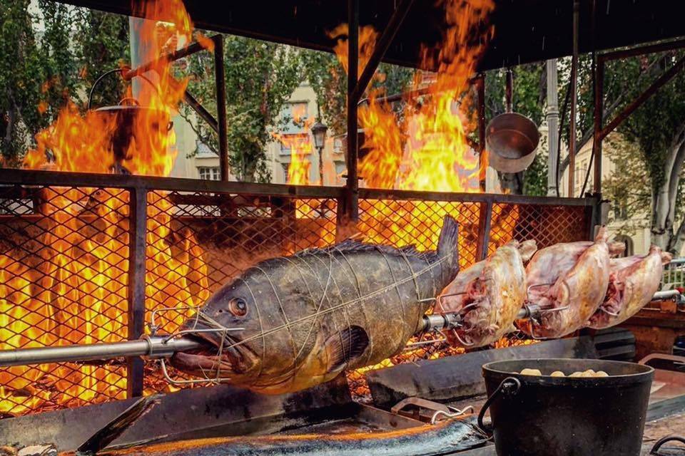 Mérou et Culotte d'agneau