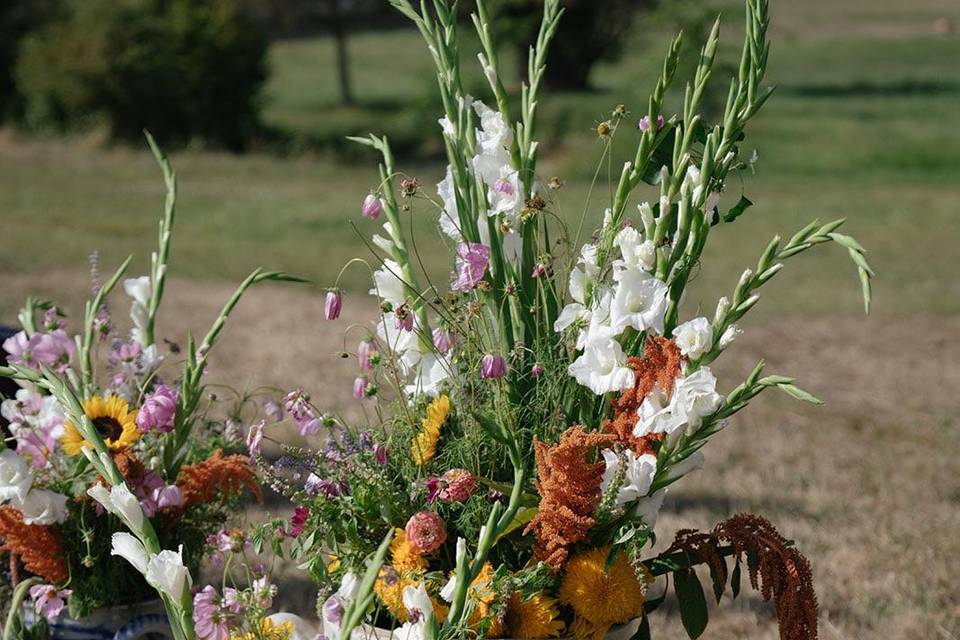 Fleurs de saison