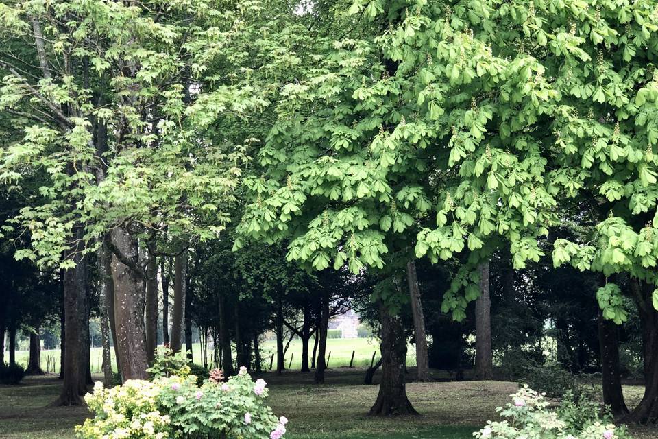 Parc du Château Des Requêtes