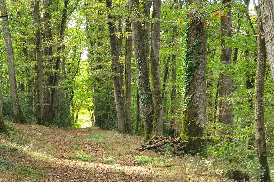Domaine de la Roderie
