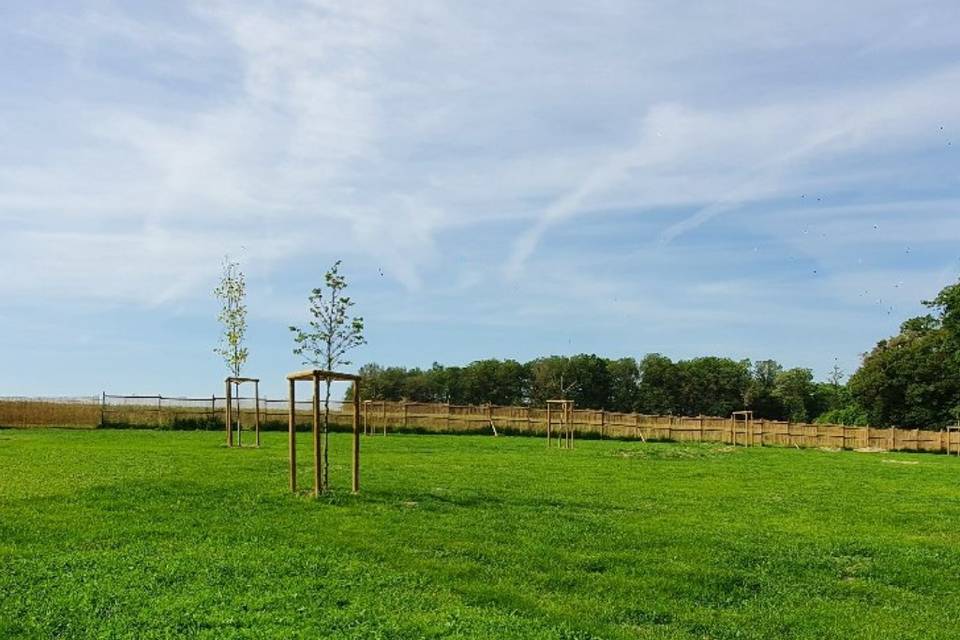 Domaine de la Roderie
