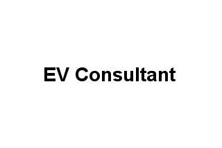 EV Consultant