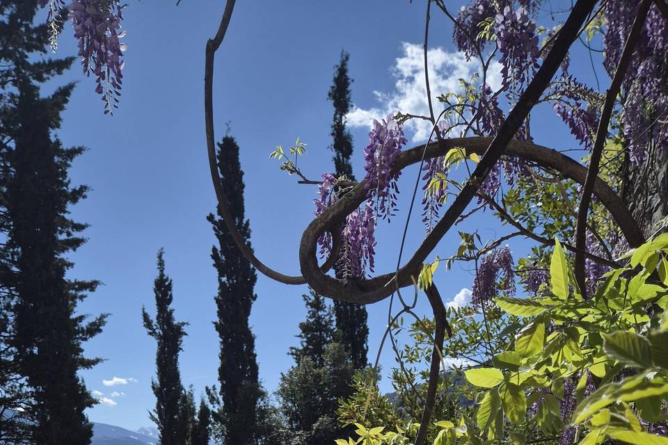 Jardin2