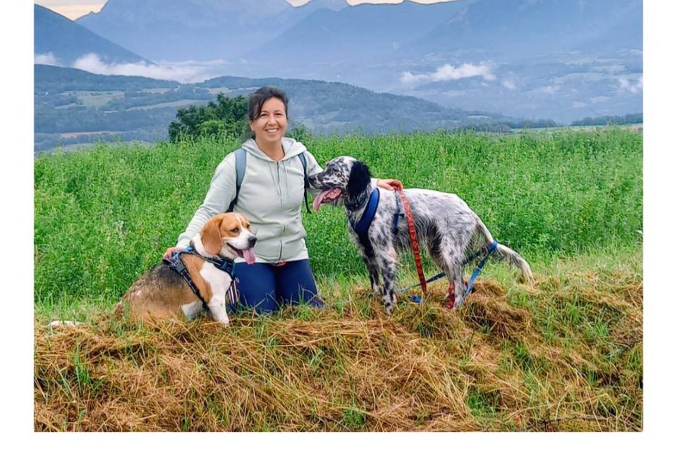Mes chiens et moi