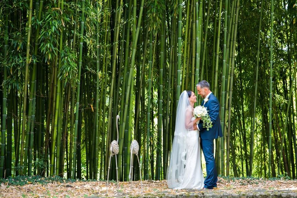 Couple dans une bambouseraie