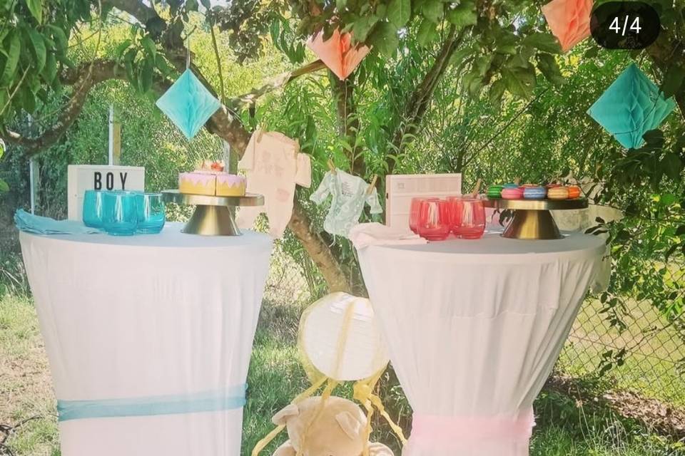 Gender reveal