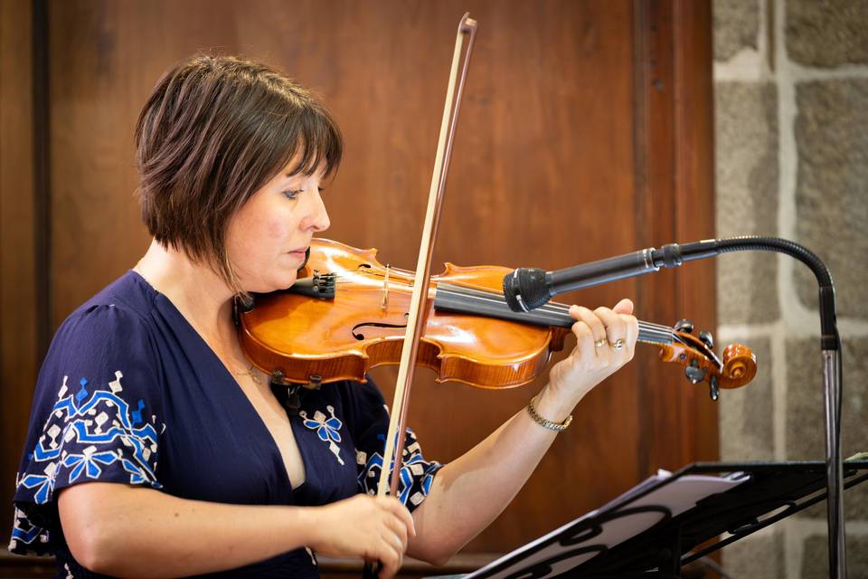 Violon