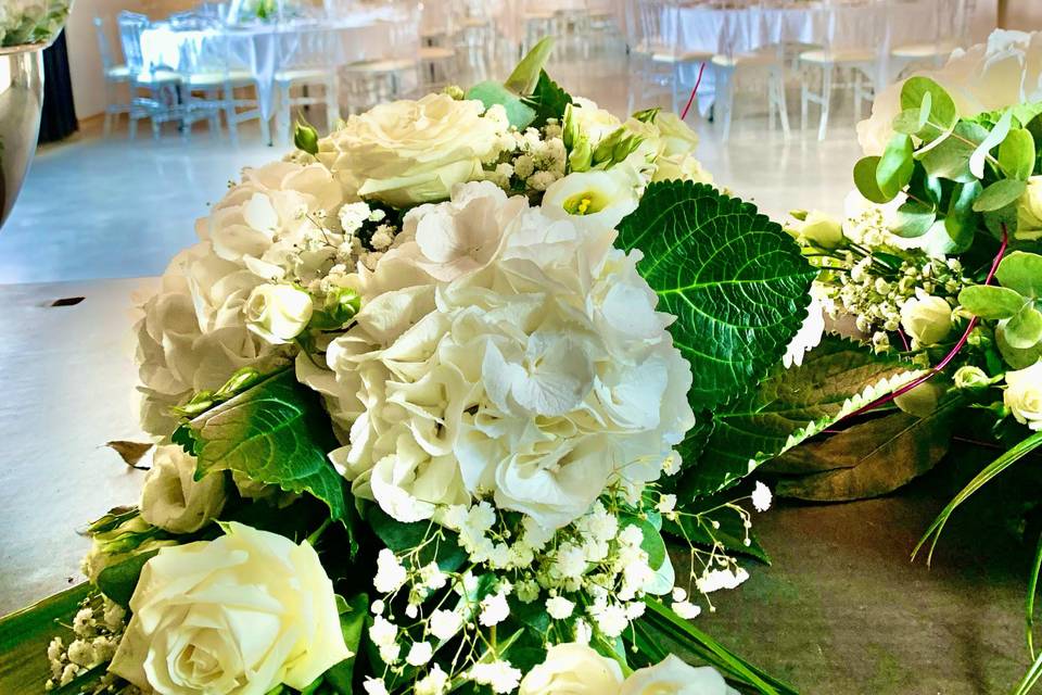 Hortensias blancs