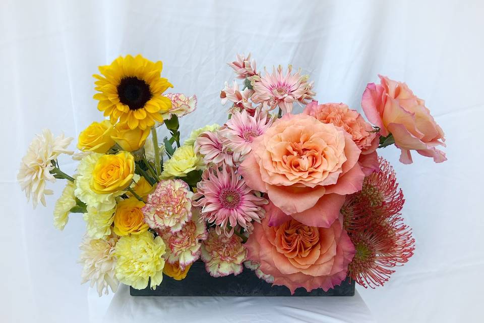 Solène fleuriste Freelance
