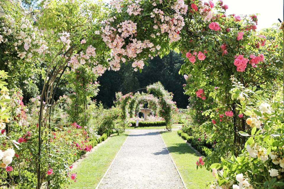 Abbaye Royale de Chaalis