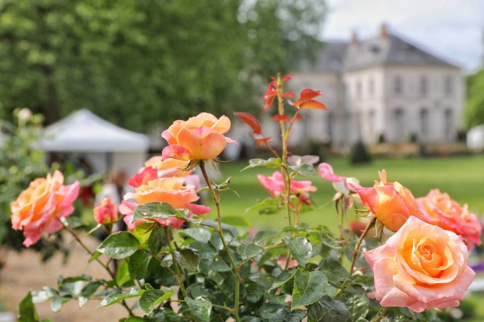 Abbaye Royale de Chaalis