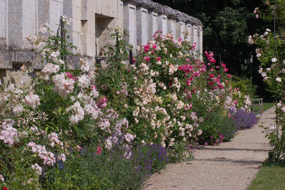 Abbaye Royale de Chaalis