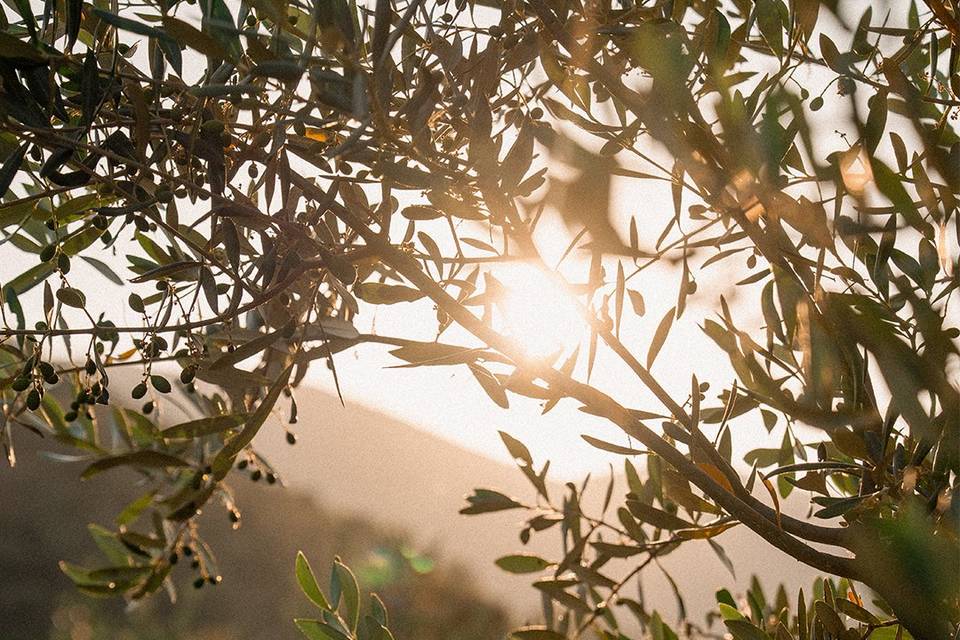 Coucher de soleil