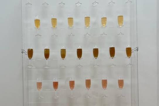 Mur Champagne Plexi