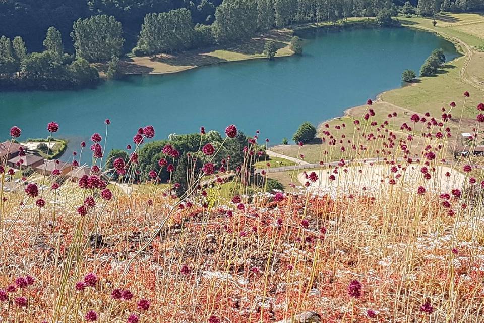 Vue du rocher