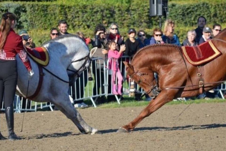 Spectacle Lamorlaye