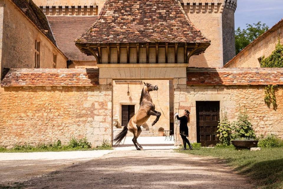 Séance photos château de St Ma