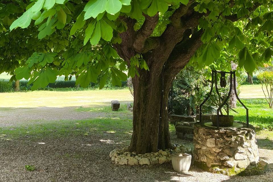 Salle de Tervelet