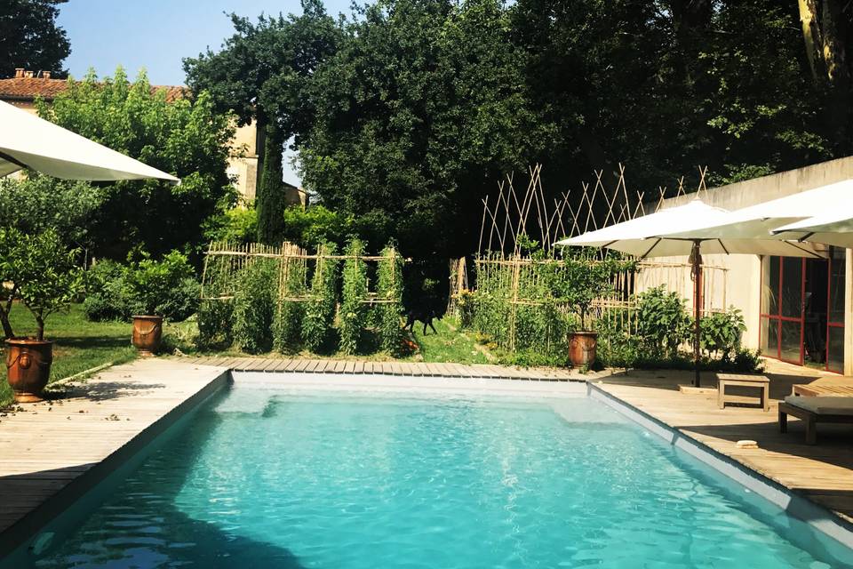 Piscine et son potager