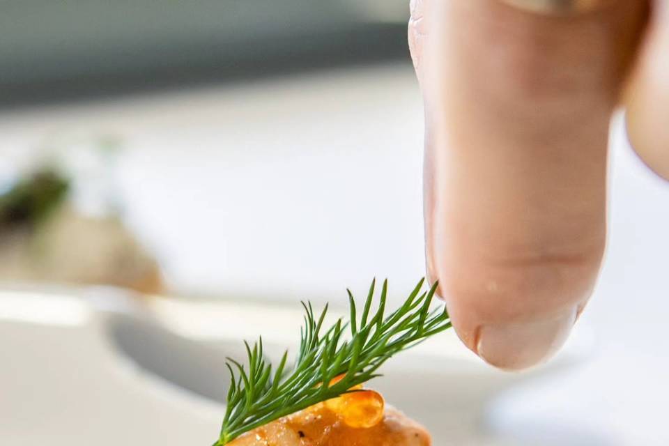 Camus Eldorado