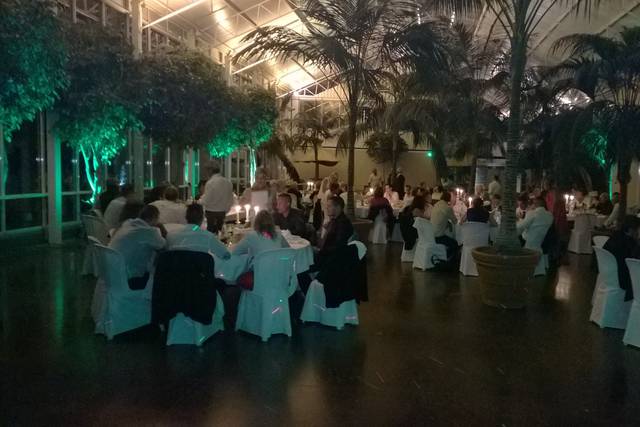 Déco led salle réception