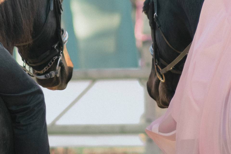Mariage et évènement