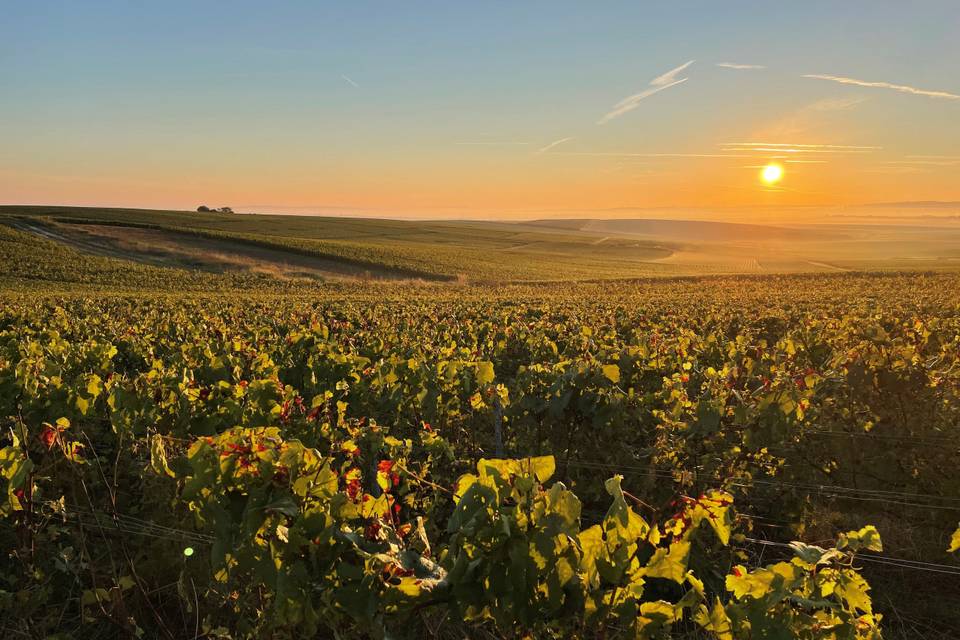 Champagne Charles Beaudouin
