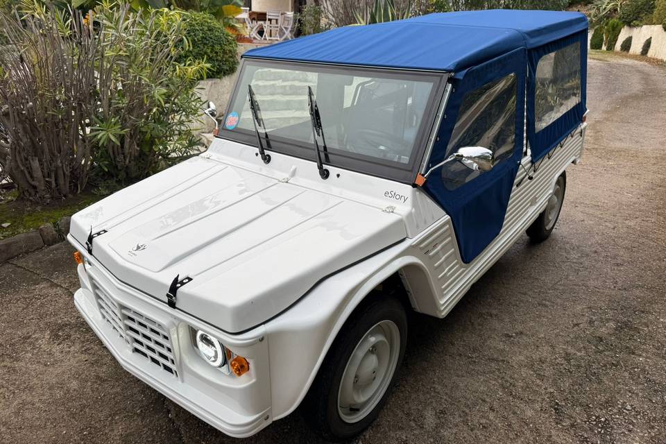 Dolce Vita
