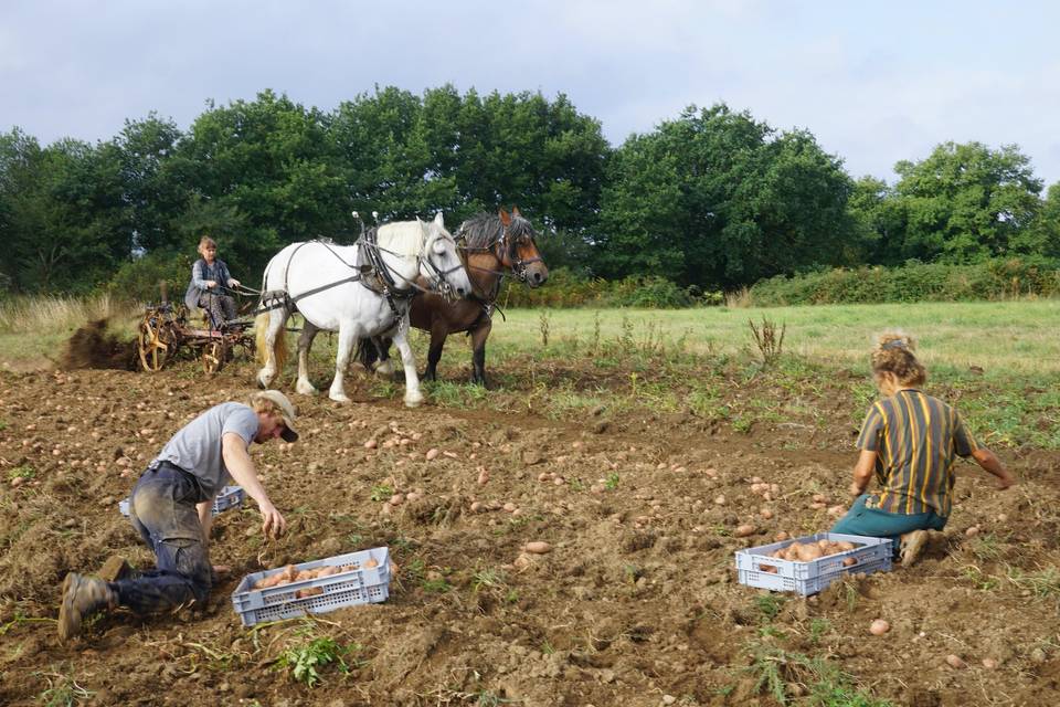 Ferme de la Ruade